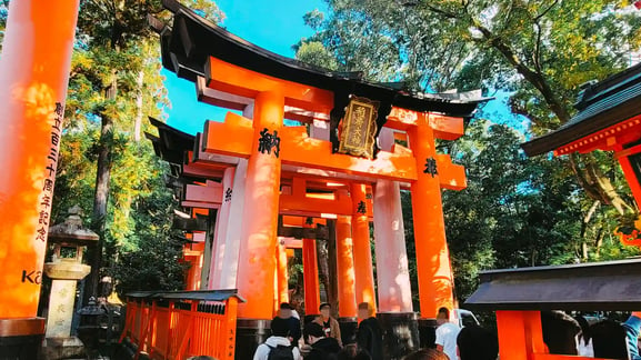 후시미 이나리 신사 투어 소개