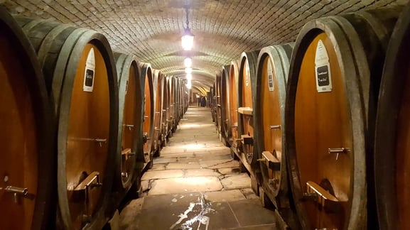 [선택] 와인 저장고(Cave Historique des Hospices de Strasbourg)
