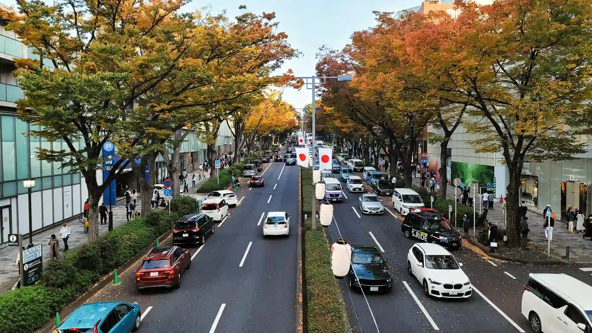 반드시 가봐야 하는 곳. 도쿄 원데이 시티투어
