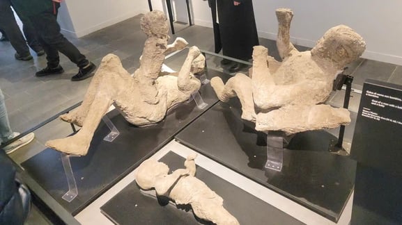 폼페이 박물관
