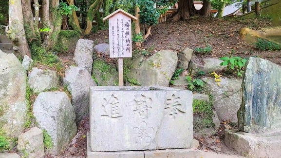매실의 종납소(梅の種納め所)