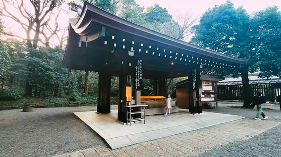 메이지신궁 : 본당 앞 데미즈야