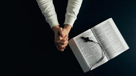 프랑스의 개신교, 위그노