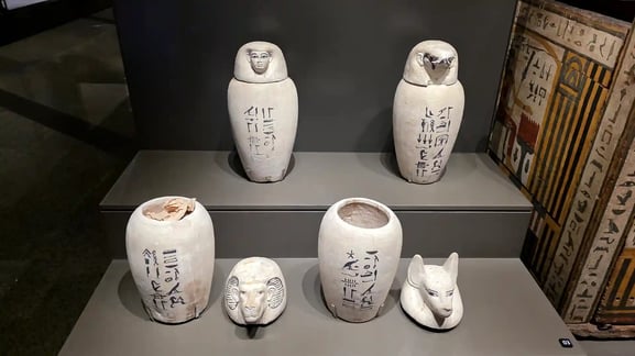 ★카노푸스 단지